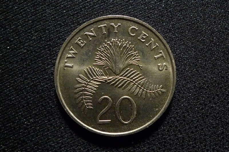 Post-Your-Lion-Coins!