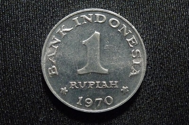 Post-Your-Bird-Coins
