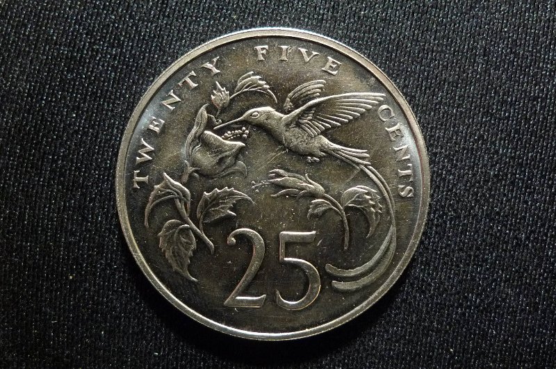 Post-Your-Bird-Coins
