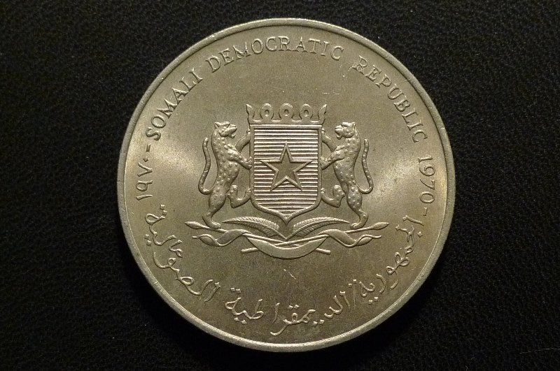 Show-Your-Coins-With-Fruit.