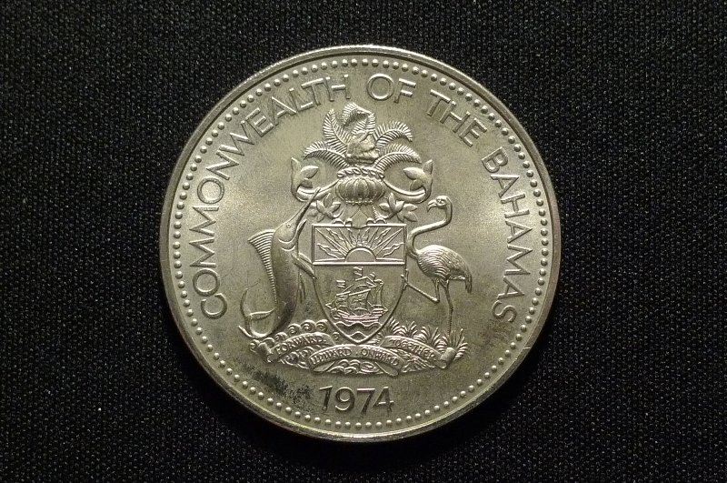 Post-Your-Bird-Coins