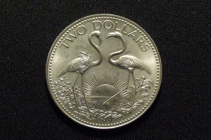 Post-Your-Bird-Coins