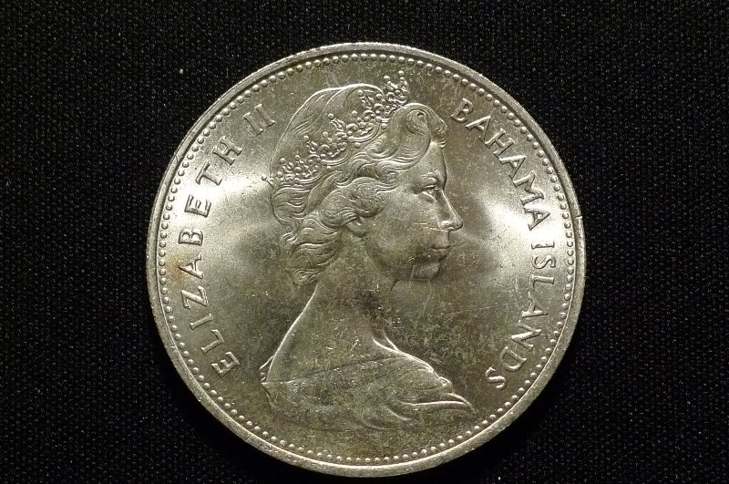 Post-Your-Bird-Coins