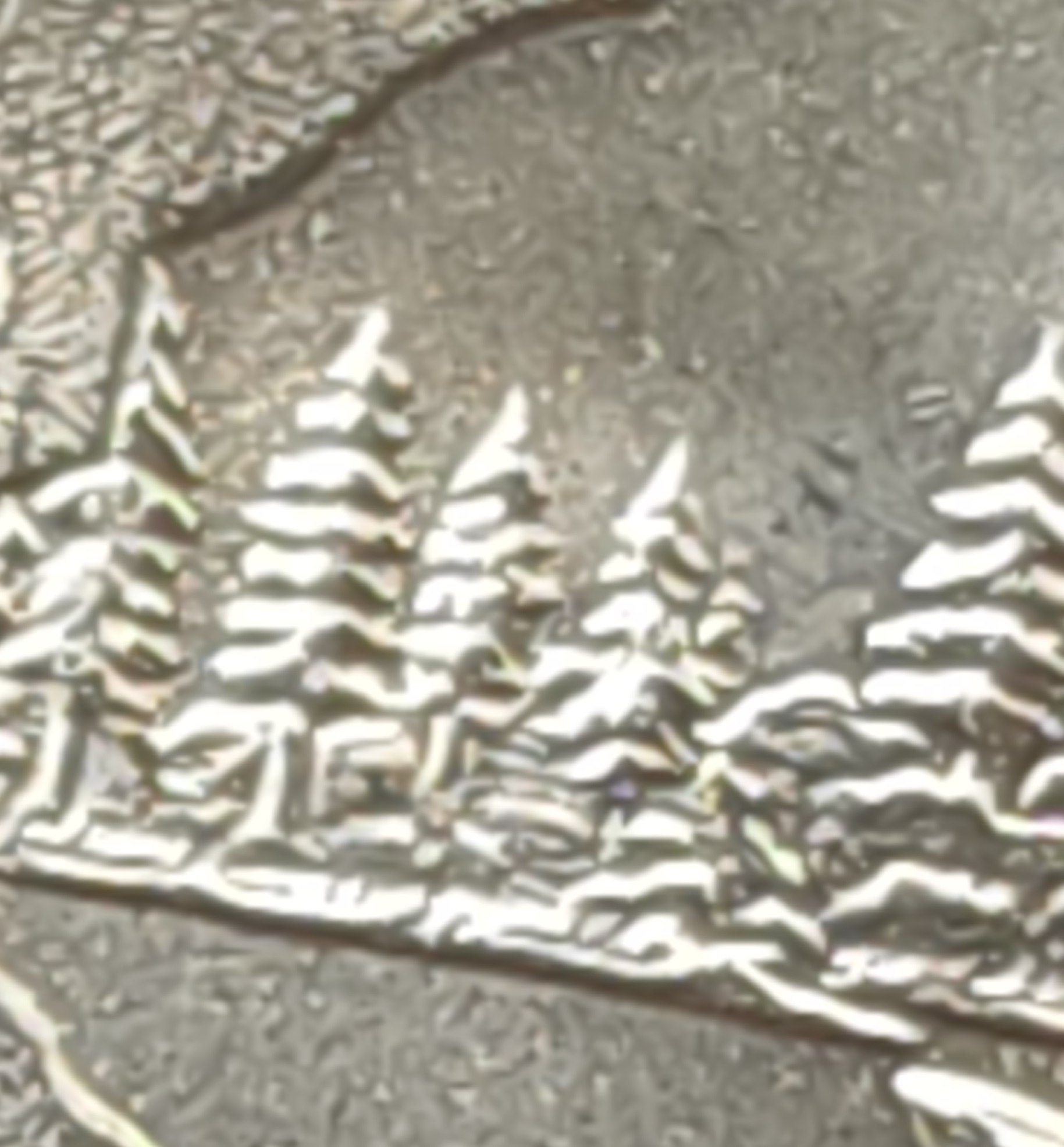 2005-P-Minnesota-