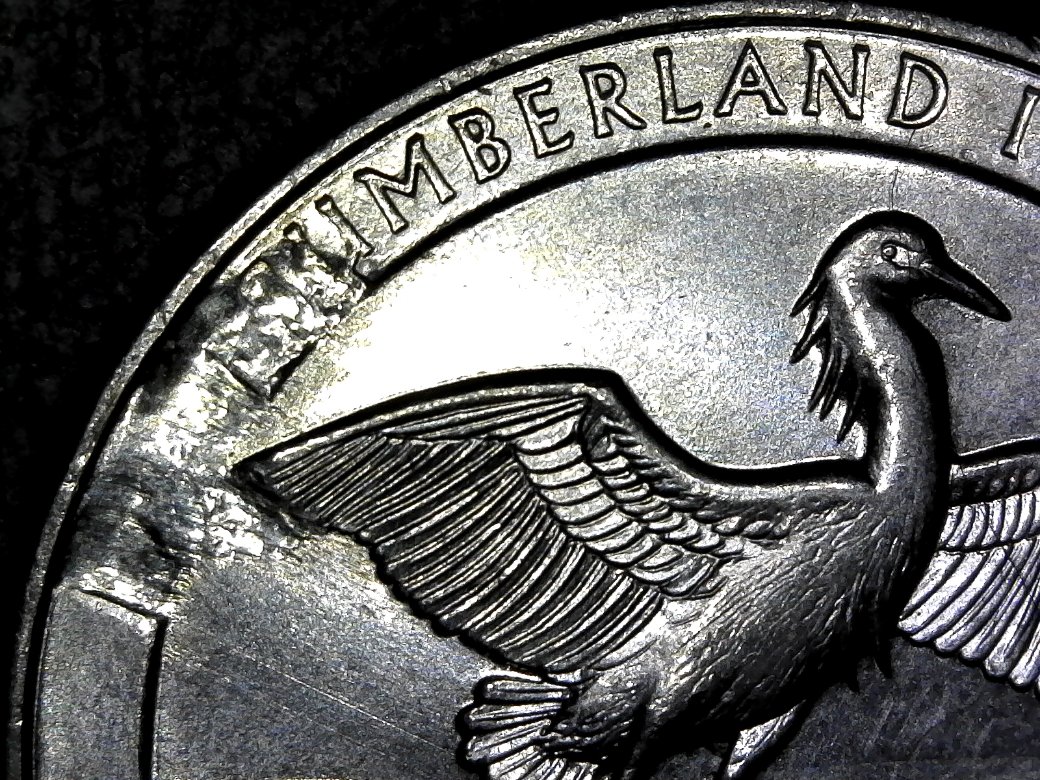 2018-ATB-Quarter:-Cumberland-Island-Die-Break?