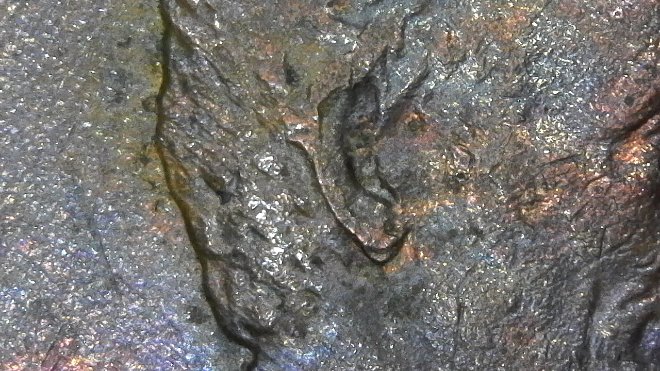 1984-P-Lincoln-Cent-DDO?