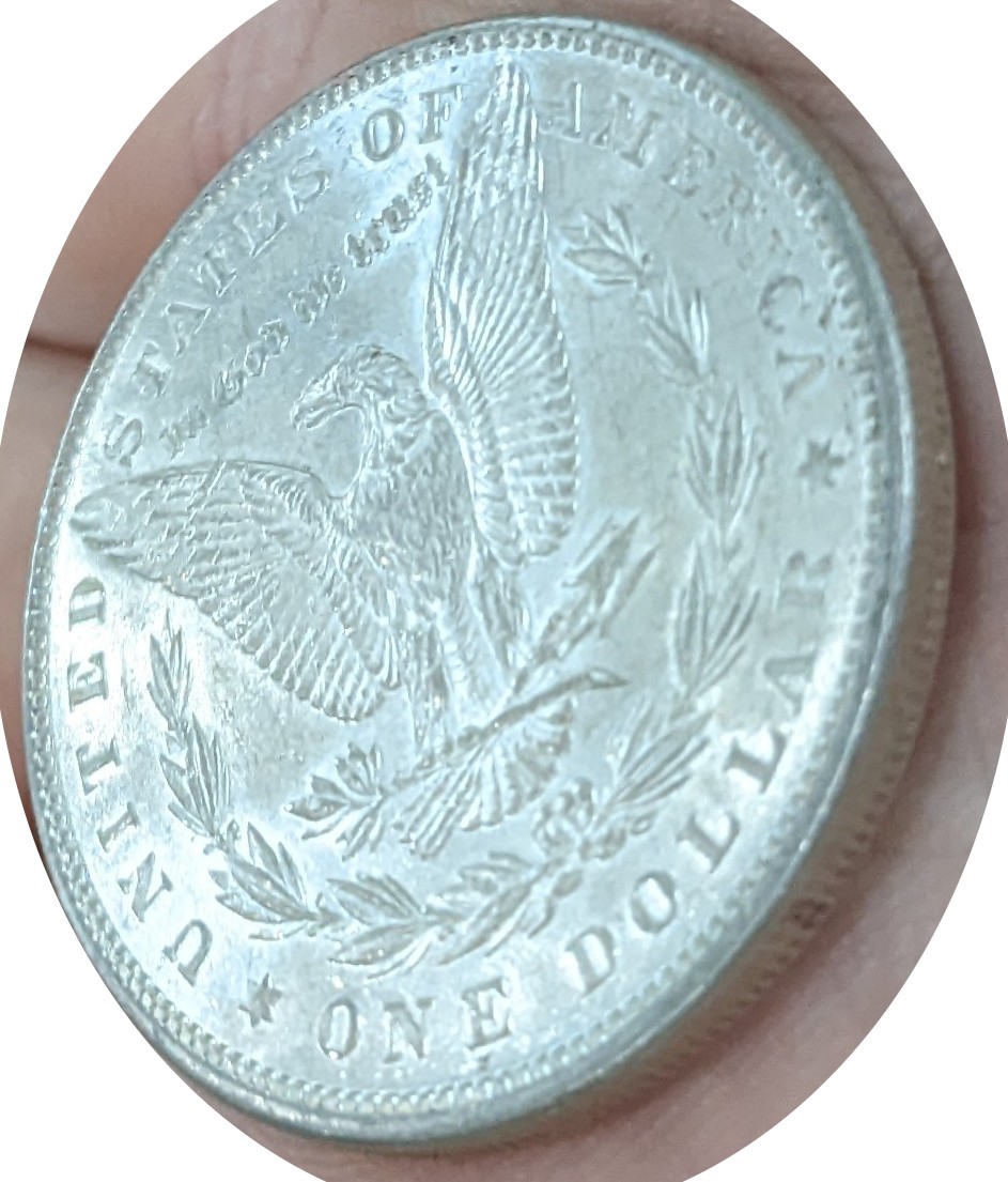 Newbie-Trying-To-Figure-Out-If-1898-Morgan-Dollar-Is-Cleaned