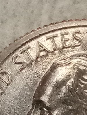 Came-Across-This-2020.w-Tallgrass-And-Wondering-If-It-Is-DDO?