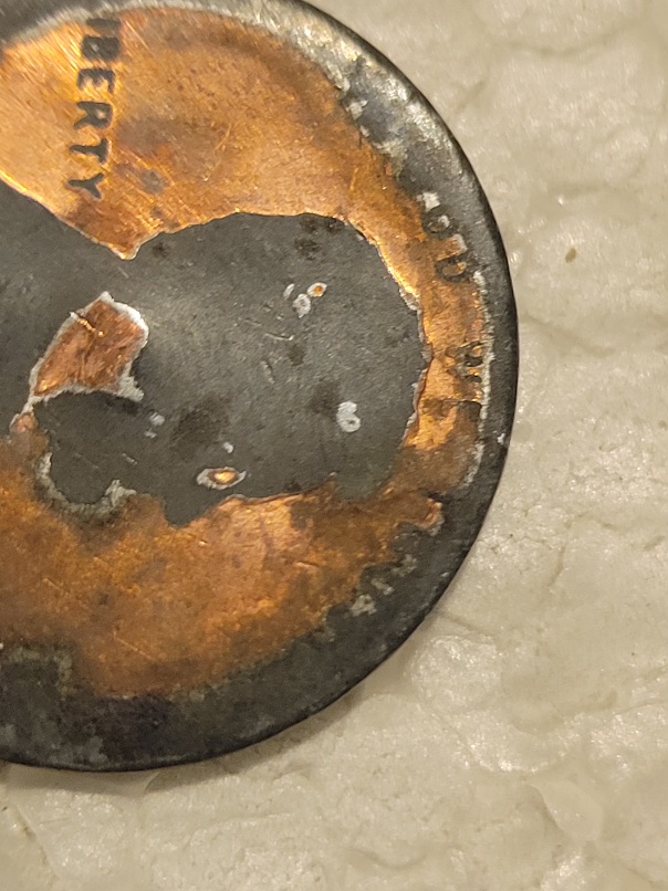HI-I'm-Andrew-New-Here,-Possibly-Error-Shield-Cent