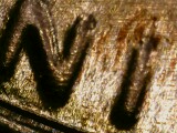 2022-D-Penny-DDO-/-DDR-?