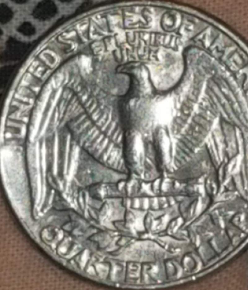 Need-Help-On-Value-And-Rarity.