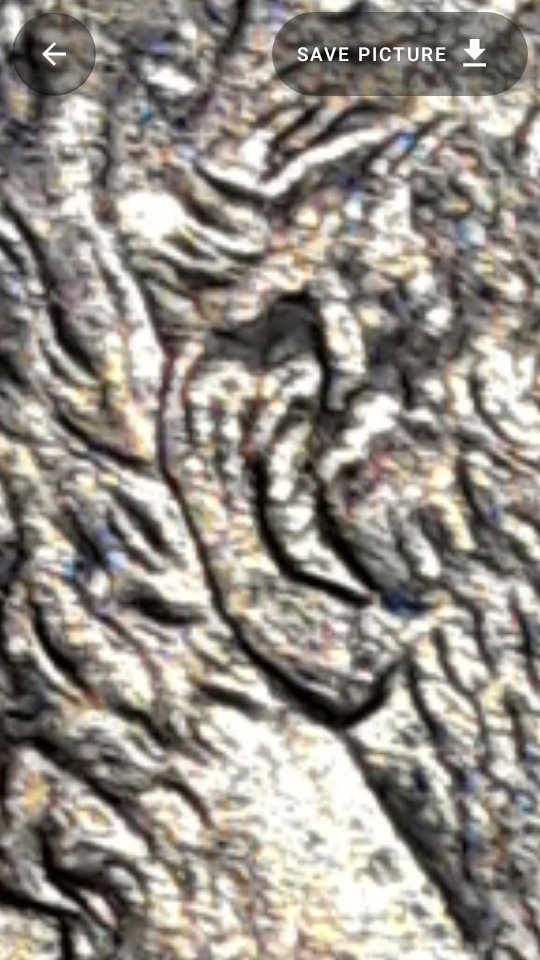 1995-Lincoln-Cent-DDR?.?.-Going-By-The-Guidelines-In-The-Book...
