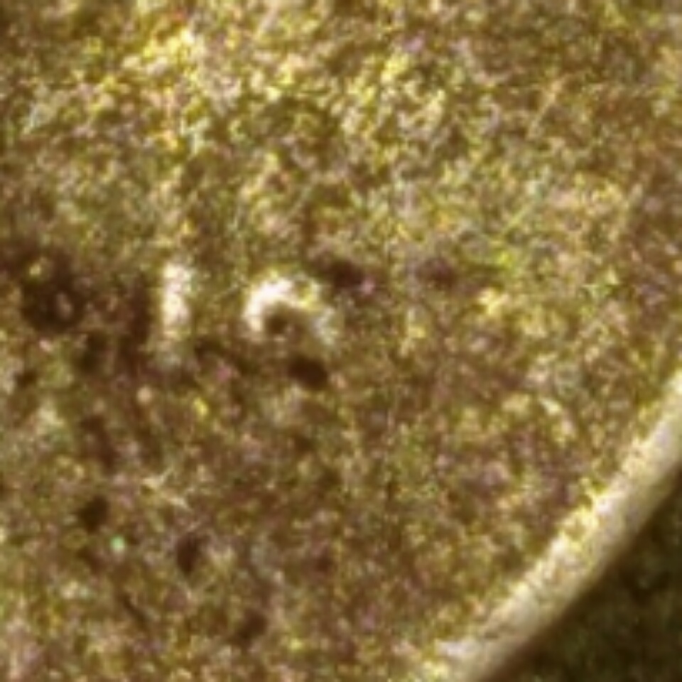 19xx-Old-Wheat-Cent-1---Need-Help-Making-Out-The-Date...