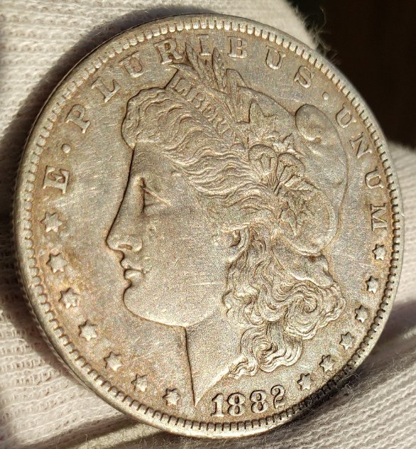 Couple-Morgan-Dollars-To-Check