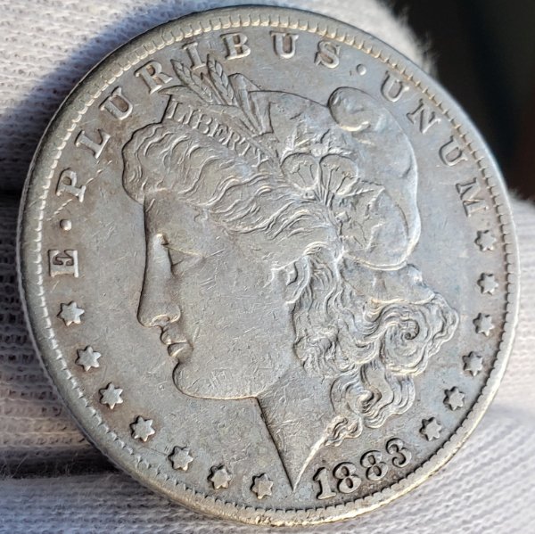 Couple-Morgan-Dollars-To-Check