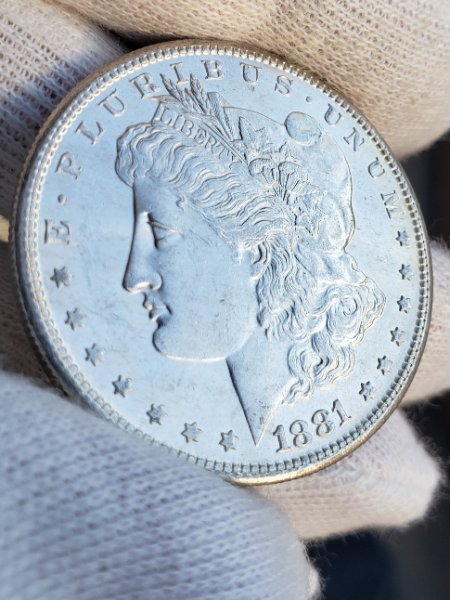 Couple-Morgan-Dollars-To-Check