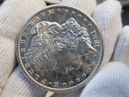 Couple-Morgan-Dollars-To-Check