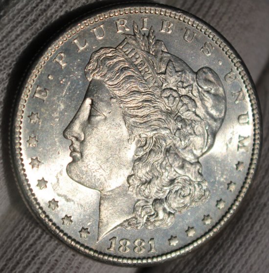 Couple-Morgan-Dollars-To-Check