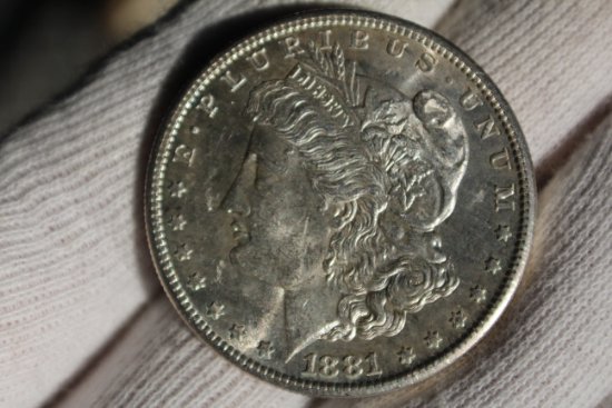 Couple-Morgan-Dollars-To-Check