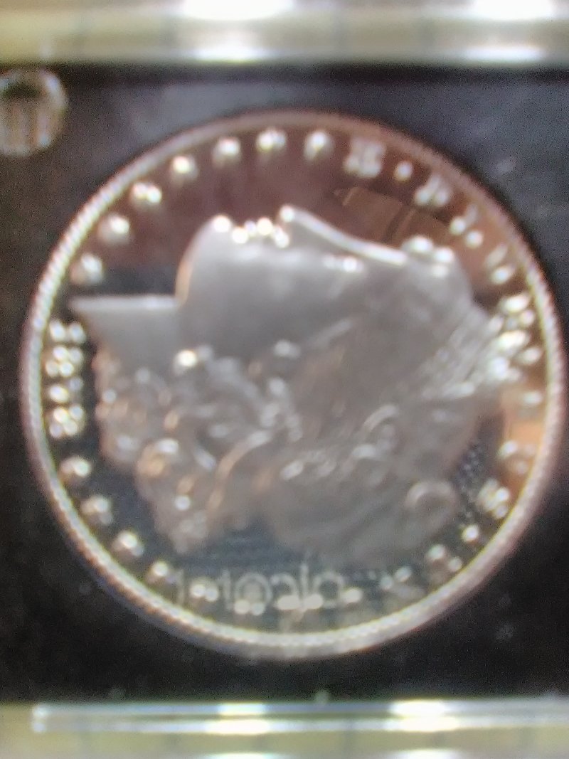 1878-P-VAM-14.11-Wild-Eye-Spikes-Replica
