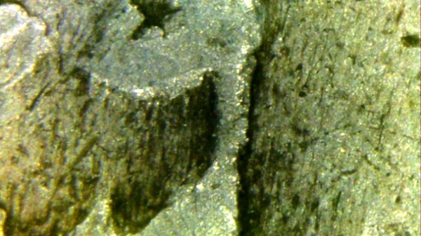 Error-Dime-Or-Just-Damaged?