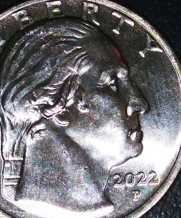 2022-Quarter-Error?-Mouth-Cud-Or-Nothing