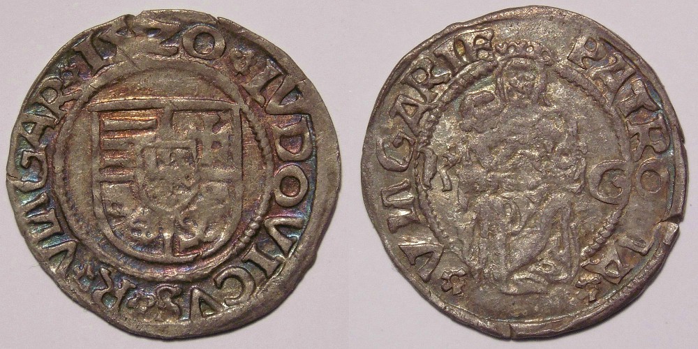Hungarian-Denar-New-Purchases