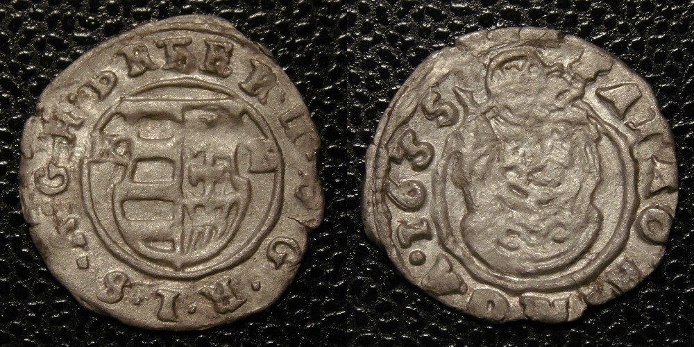 Hungarian-Denar-New-Purchases-After-1600