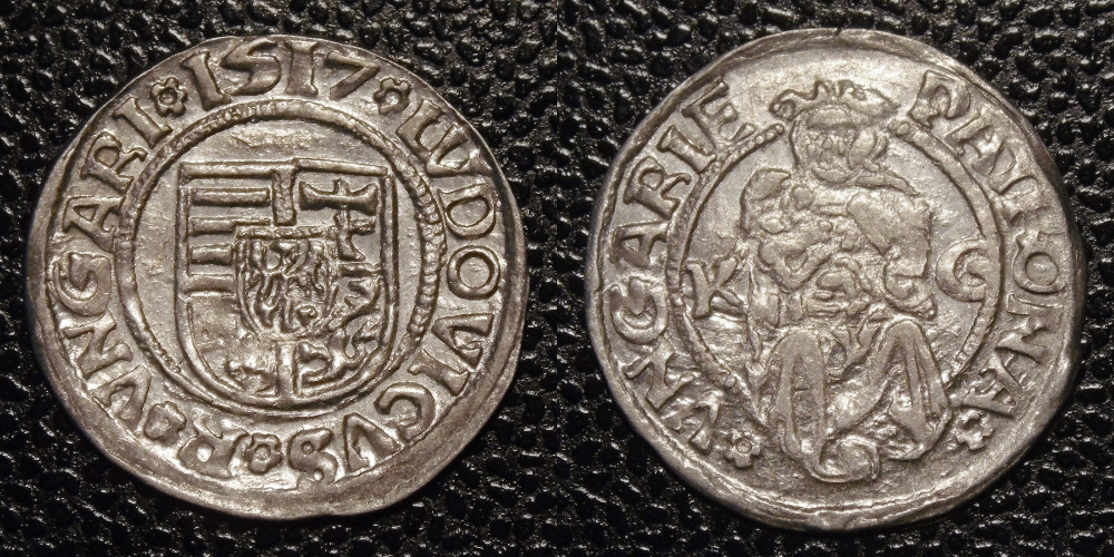 Hungarian-Denar-New-Purchases