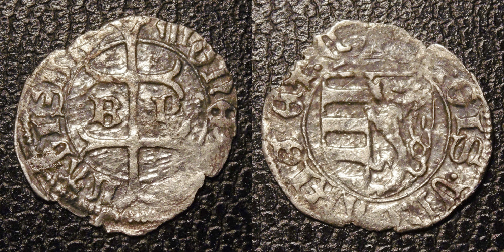 Hungarian-Denar-New-Purchases