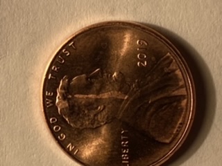 Need-Help-With-2019-Penny-Errors-That-I-May-Have-Found