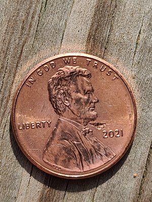 2021-Penny--Struck-Thru-Possibly?