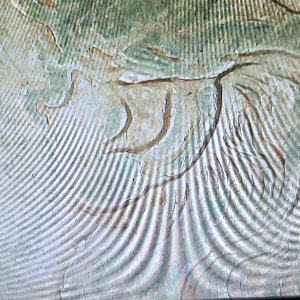 Clashing-All-Over-This-1889-Morgan-Dollar?