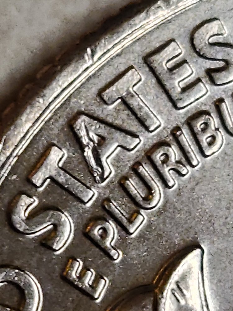 2021-CTD-Quarter-Damage-Or-Error?