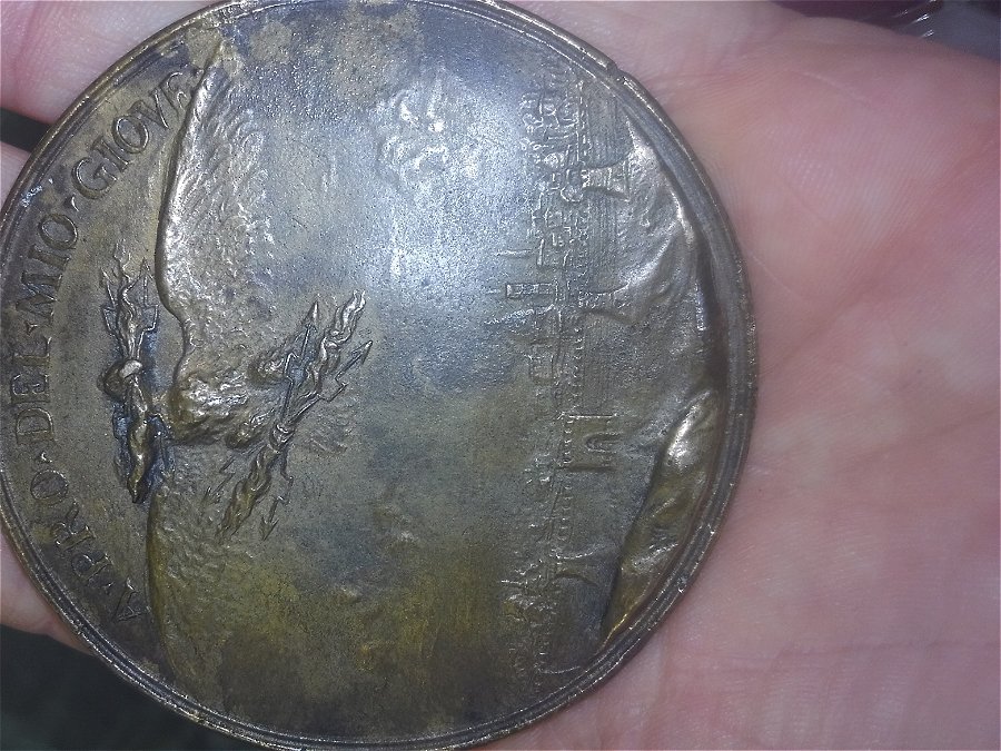 I-Need-To-Know-More-About-This-Interesting-Medal-Pavlvs-Falconieri