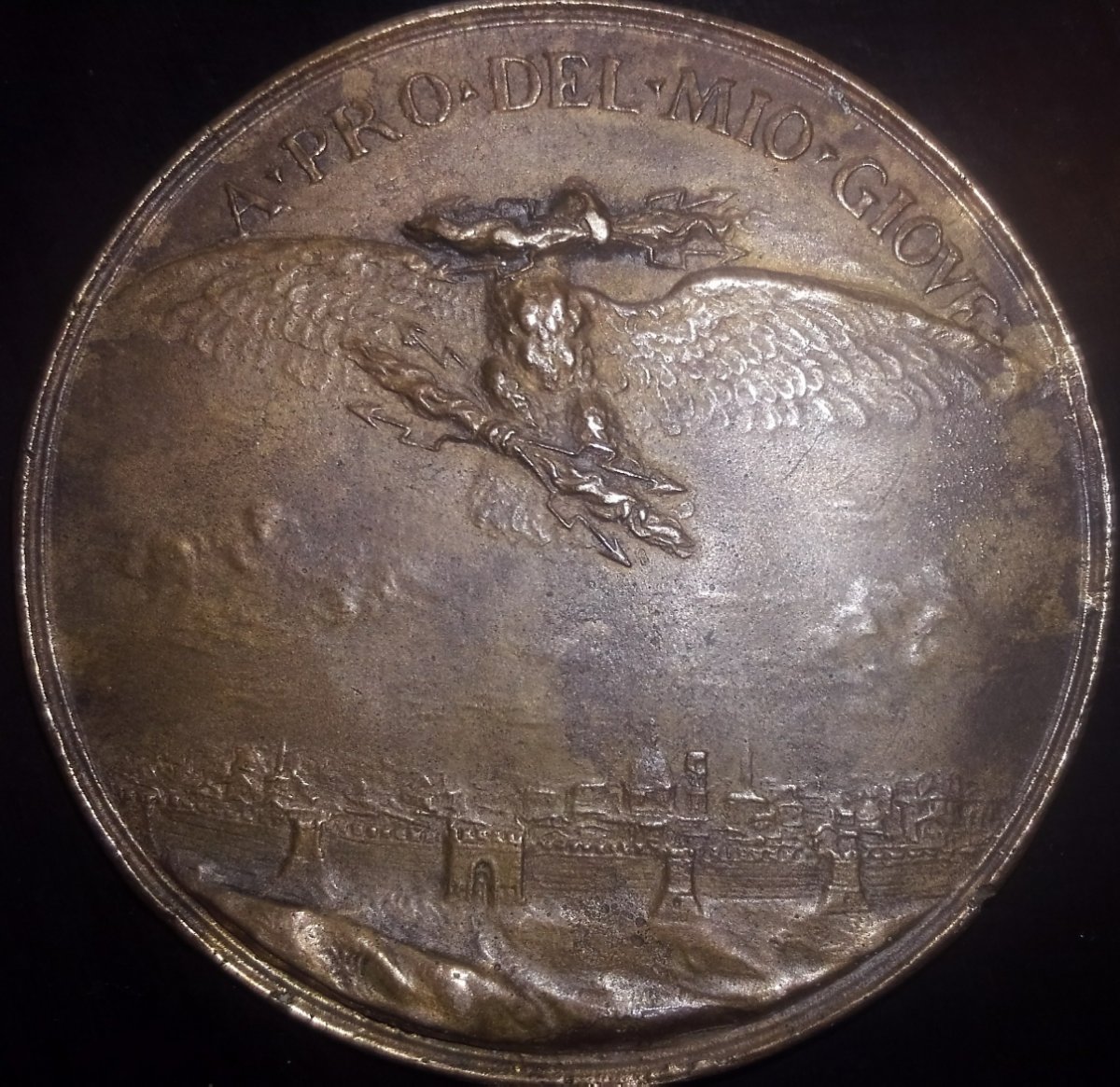 I-Need-To-Know-More-About-This-Interesting-Medal-Pavlvs-Falconieri