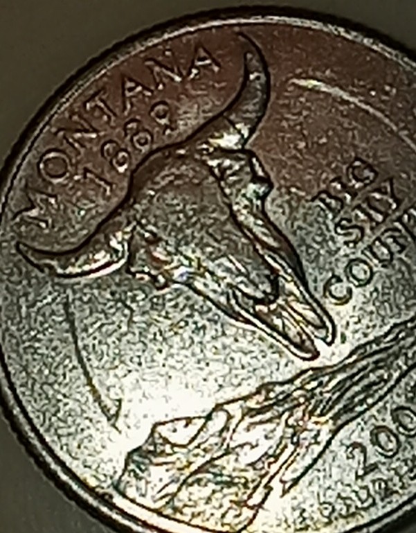 Seeking-Any-Advice-On-This-2014-Quarter