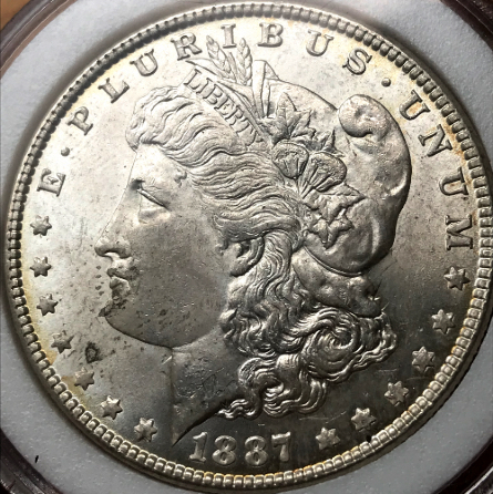 1887-P-Morgan-Alligator-Eye?