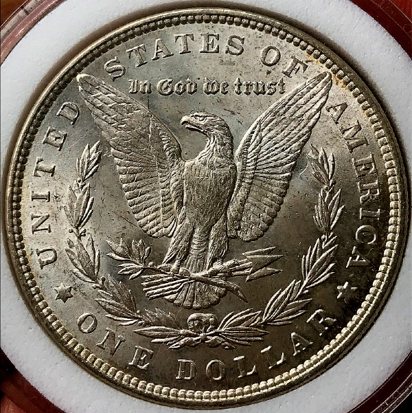 1887-P-Morgan-Alligator-Eye?