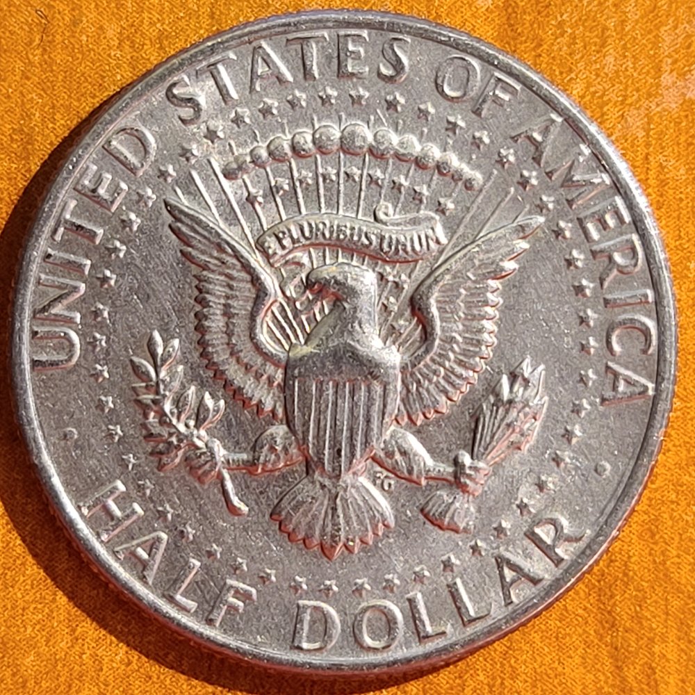 1971-D-DDO-011-Kennedy-Best-Guess?