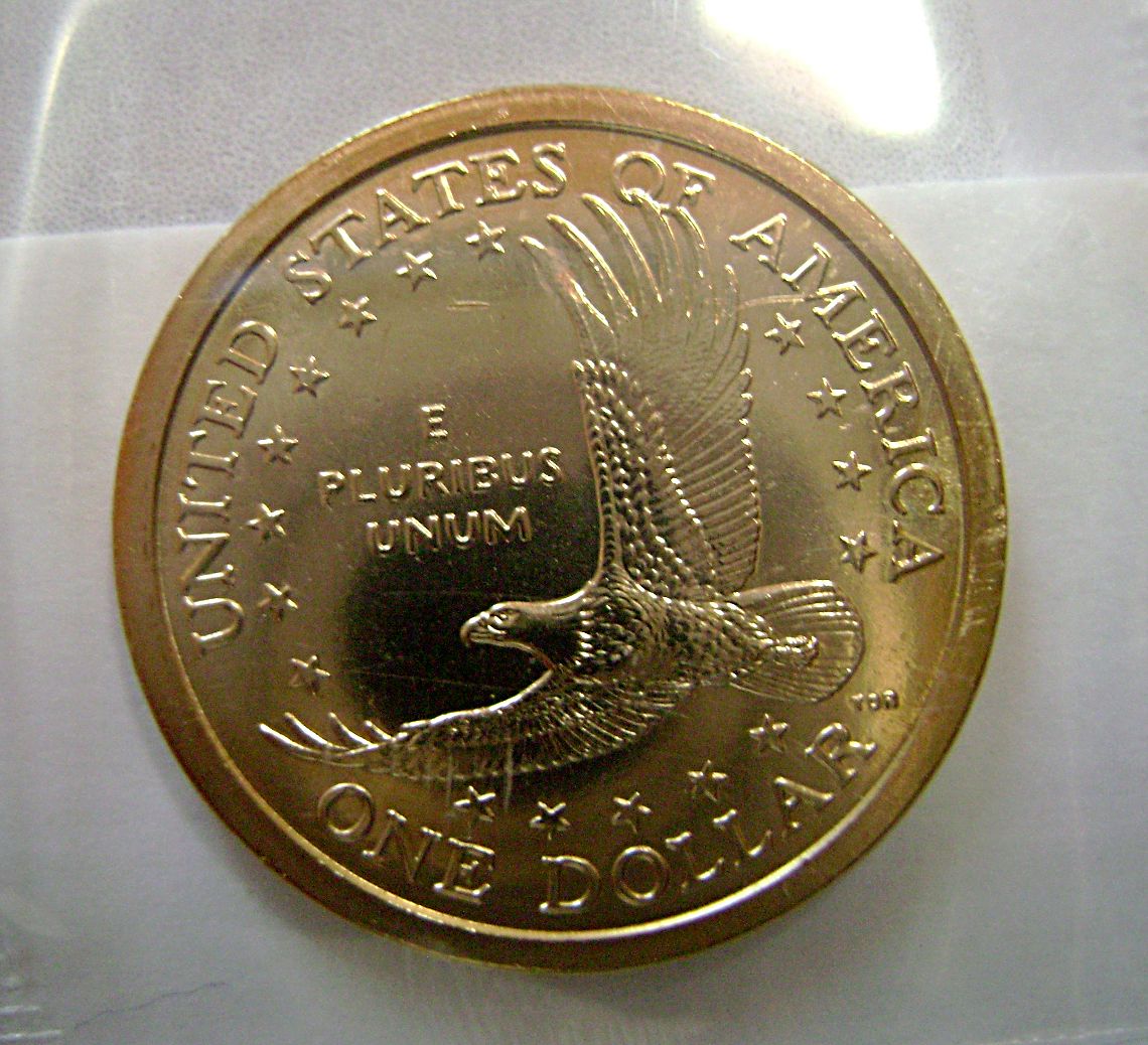 Sacagawea-Error,-Delamination-On-Eagle�s-Wing