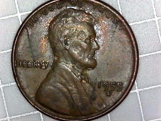 Is-This-A-1955-D-Lwc-BIE-Error?
