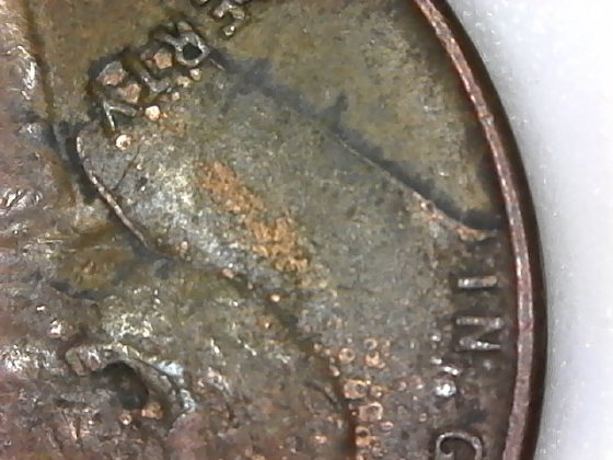 Is-This-A-1955-D-Lwc-BIE-Error?
