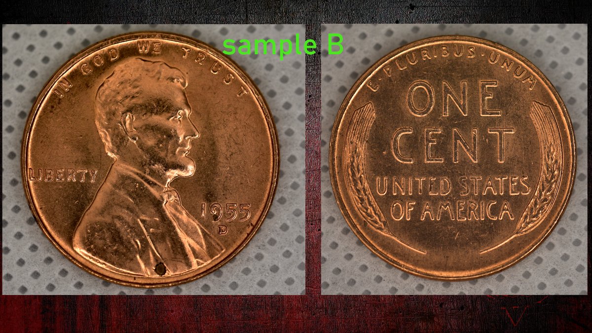 OK-2-Samples-Same-Coin-1955-D-Wheatie-Grading