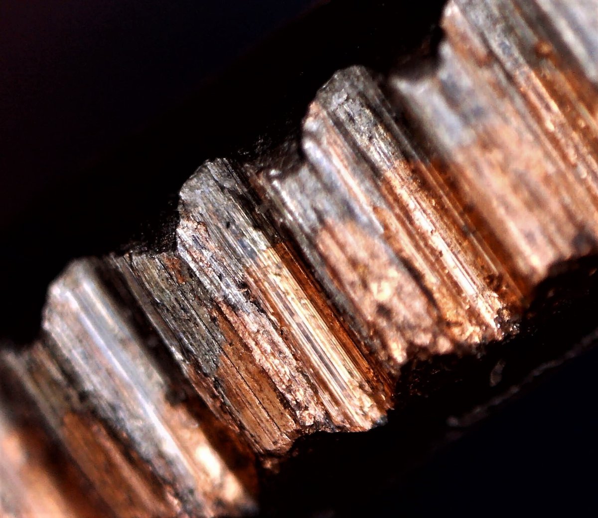 1968-D-Roosevelt-Truncated-By-Abrasion?Reed