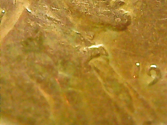 1944-Lincoln-Error?-Please-Help
