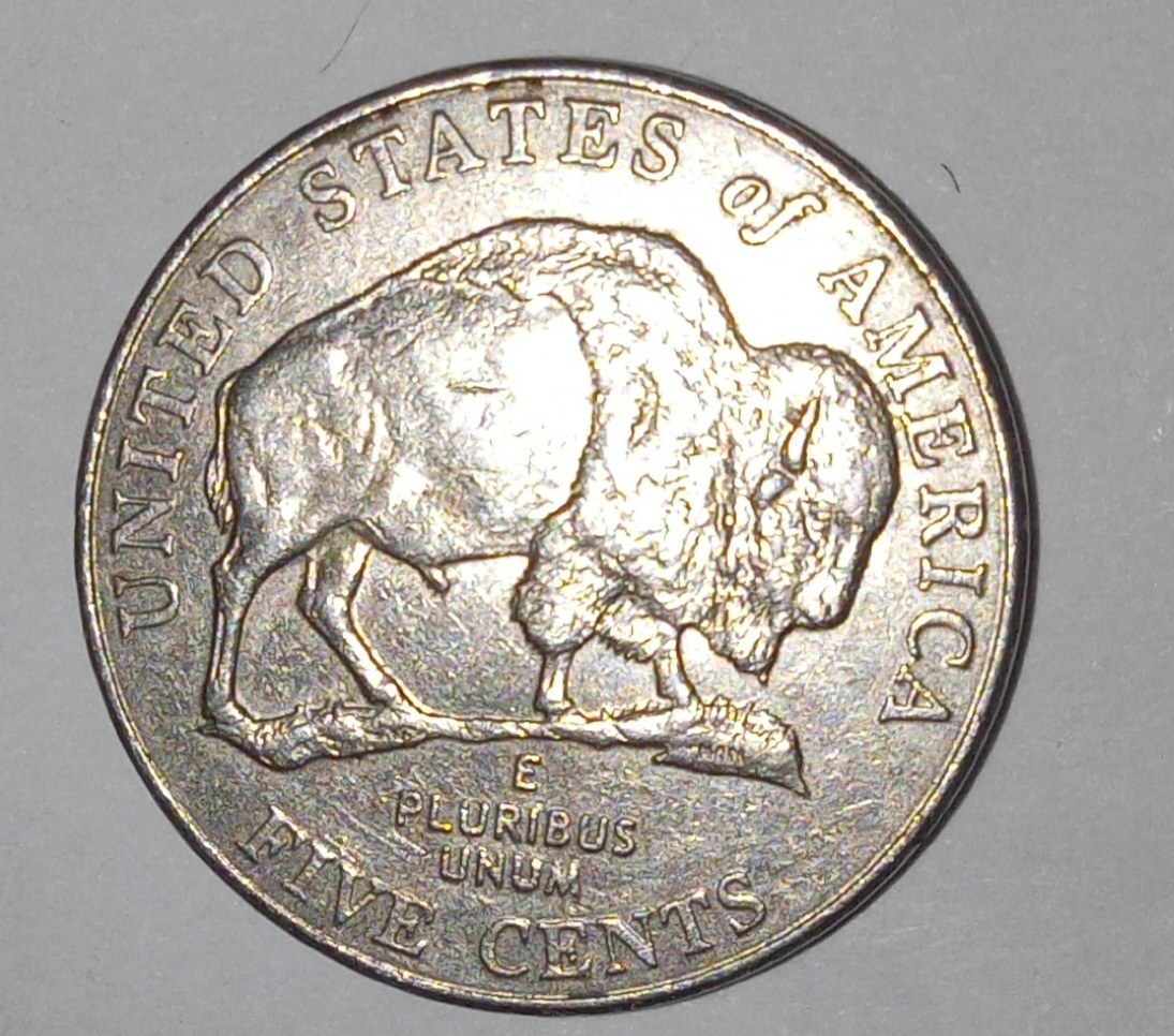 2005-D-Buffalo-Nickel-Errors?