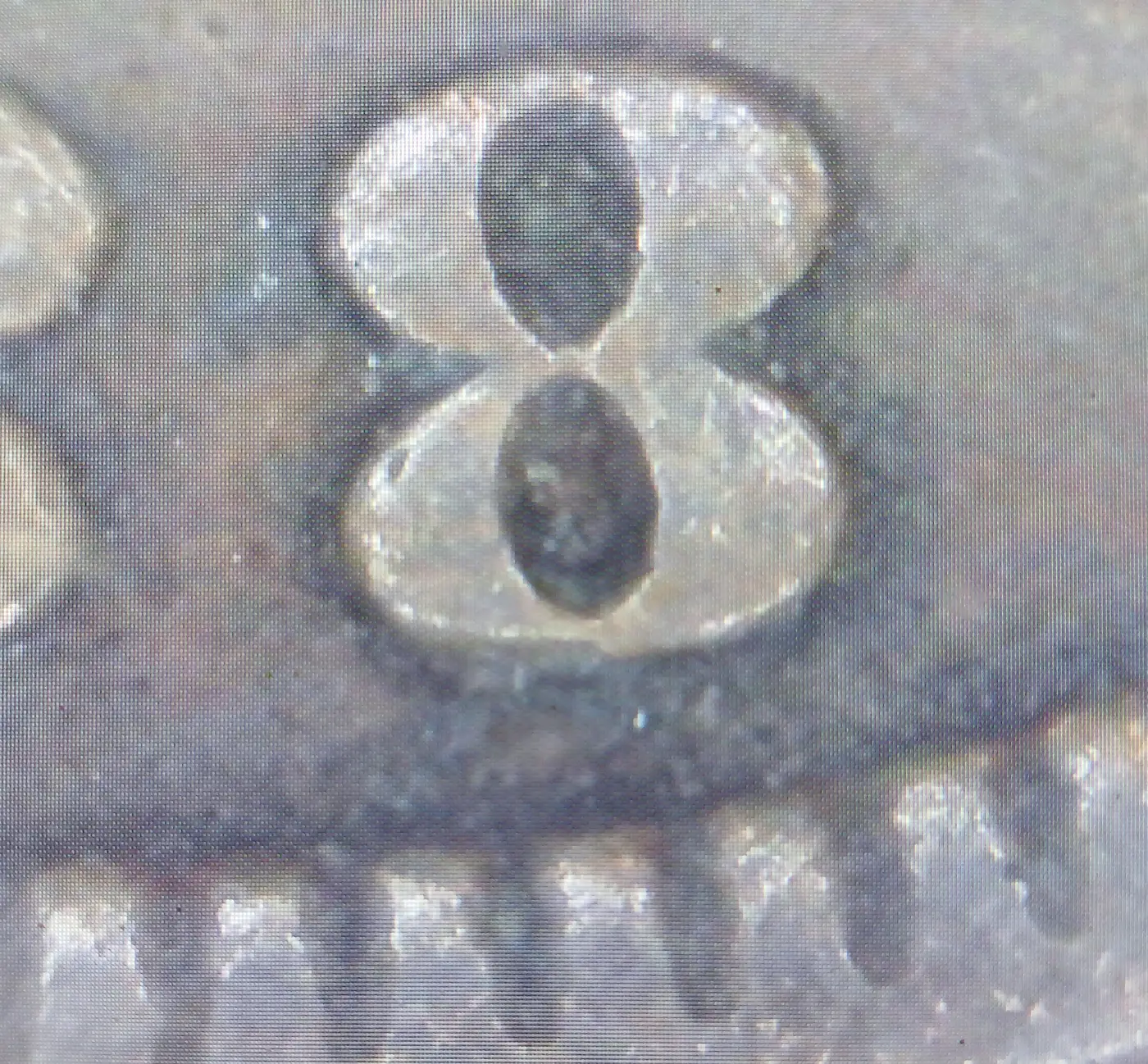 1888-Indian-Head-Penny-8-Over-7-Error?