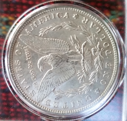 1885-Dollar-Coin---Trouble-Grading-It-MS-65-Or-Higher?