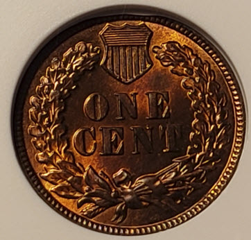 1882-Indian-You-Vs.-ANACSSmall-Holder